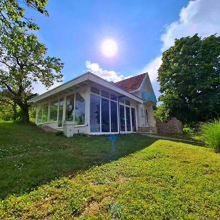 Honey Hill Apartment Fruska Gora Cerevic Exterior foto