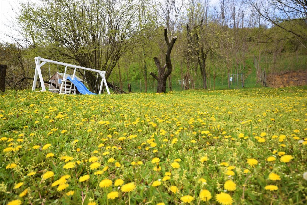 Honey Hill Apartment Fruska Gora Cerevic Exterior foto