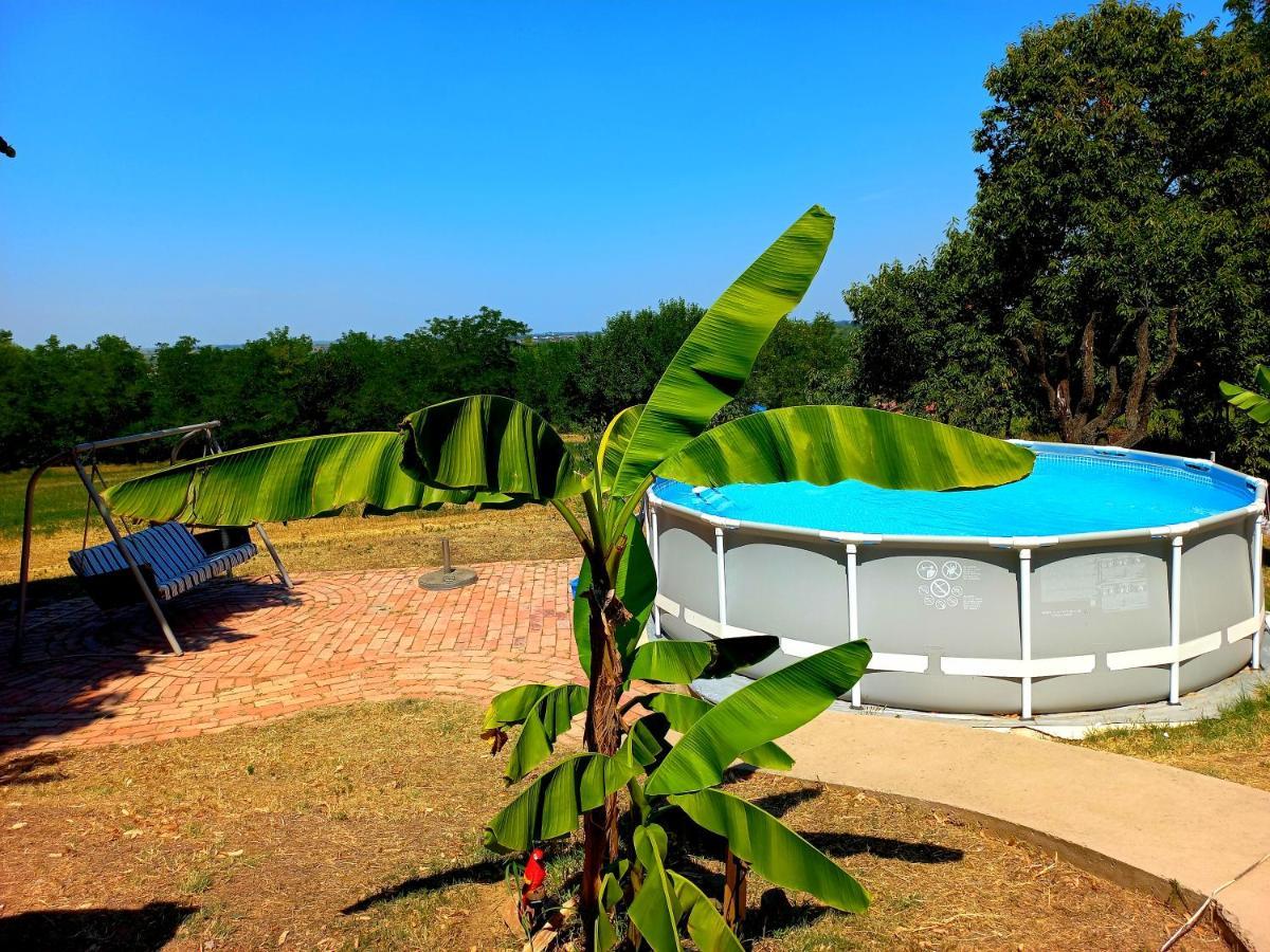 Honey Hill Apartment Fruska Gora Cerevic Exterior foto