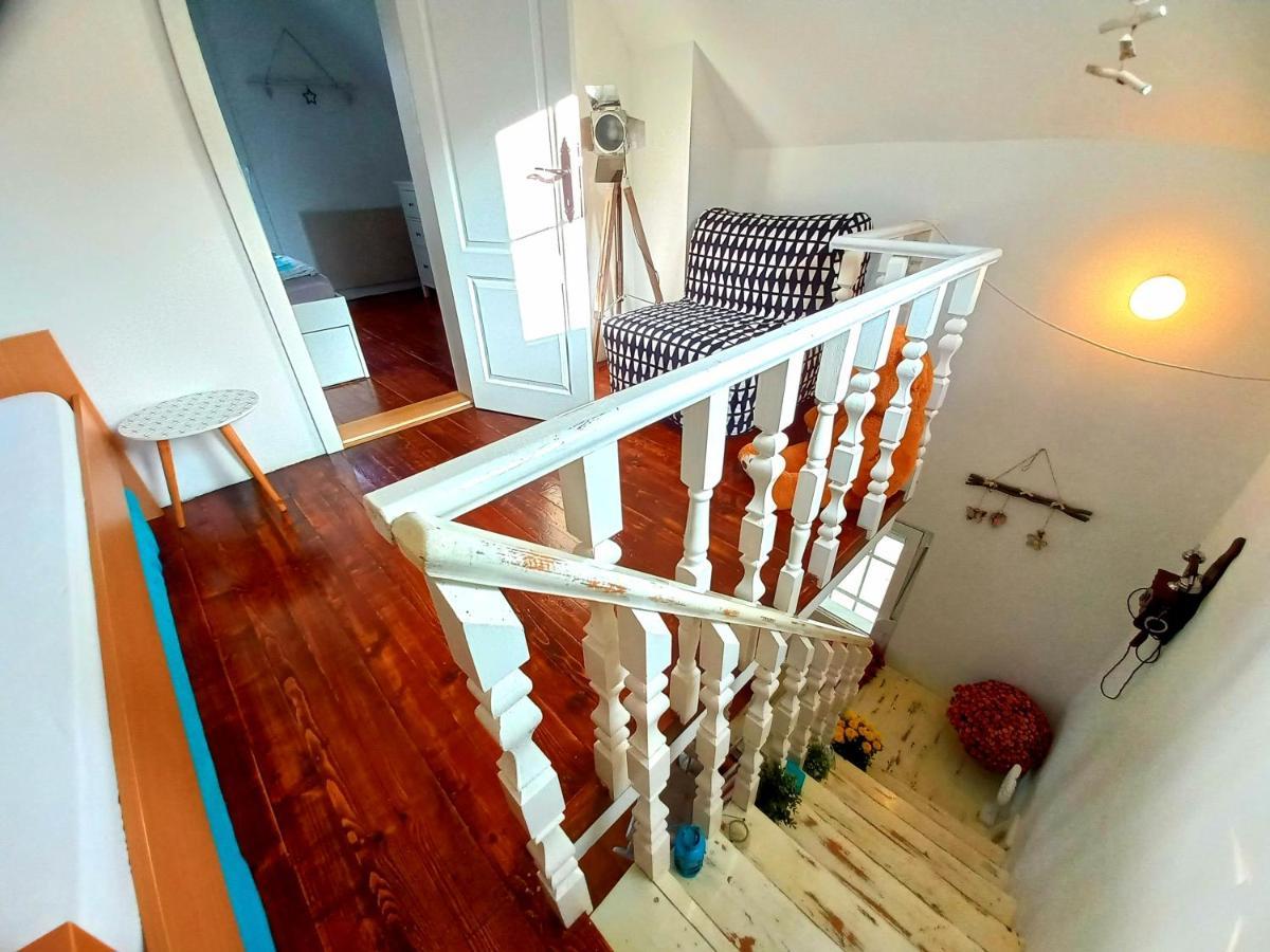 Honey Hill Apartment Fruska Gora Cerevic Exterior foto